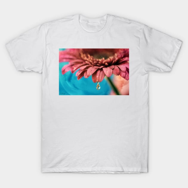 Fresh as a Daisy T-Shirt by micklyn